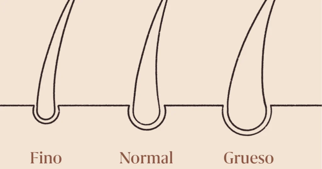 Descubre los Tipos de Cabello